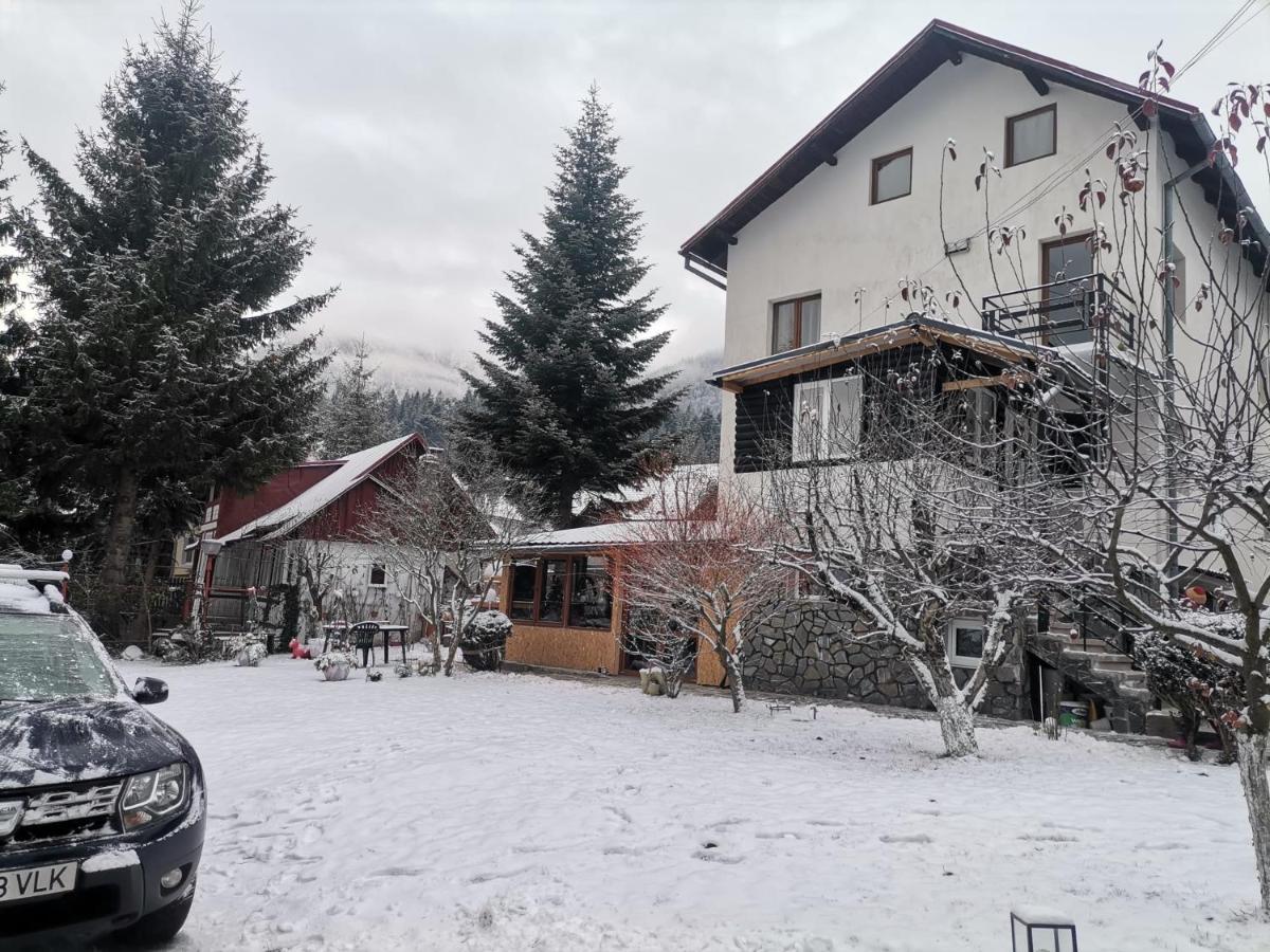 Zoso Home Buşteni Exterior foto