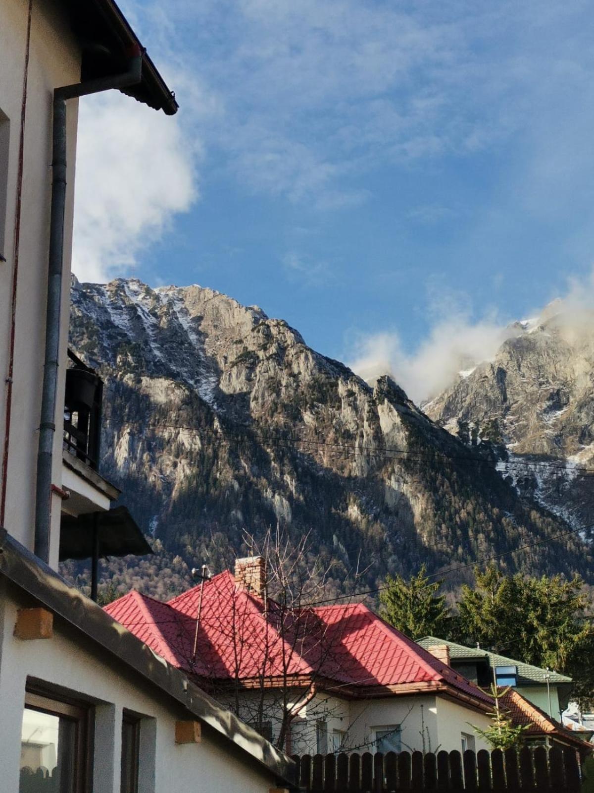 Zoso Home Buşteni Exterior foto
