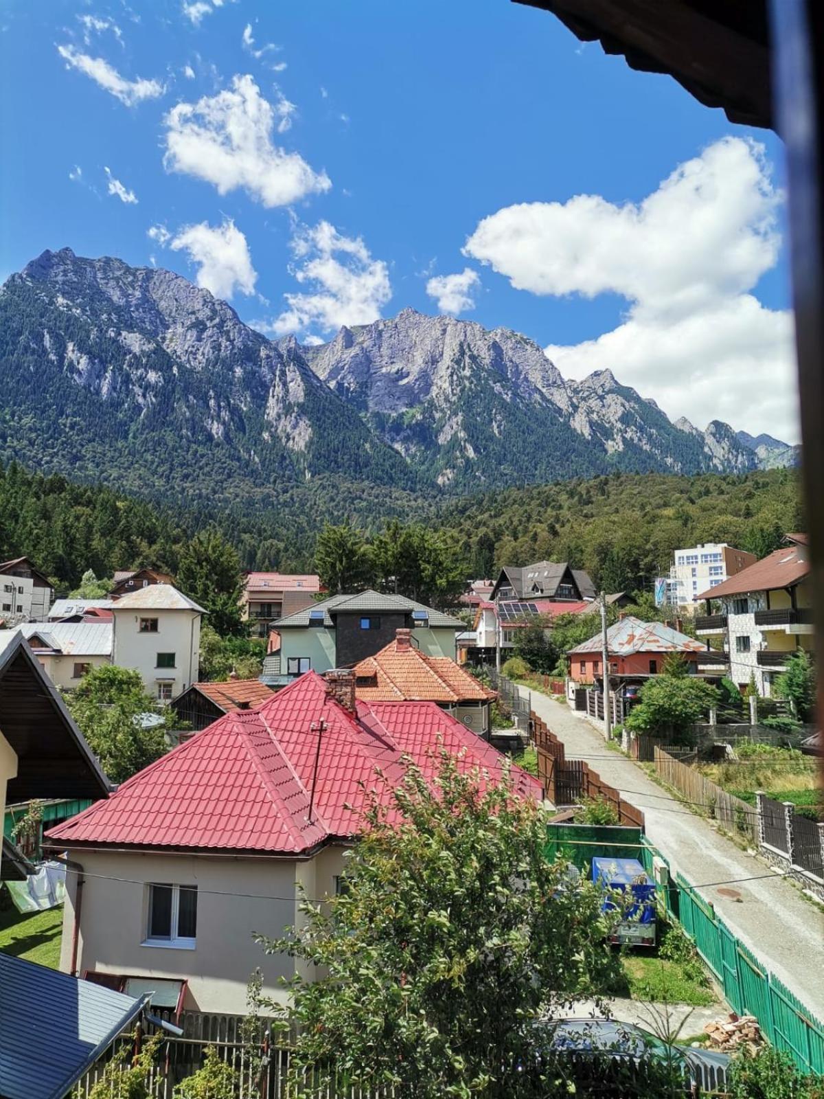 Zoso Home Buşteni Exterior foto